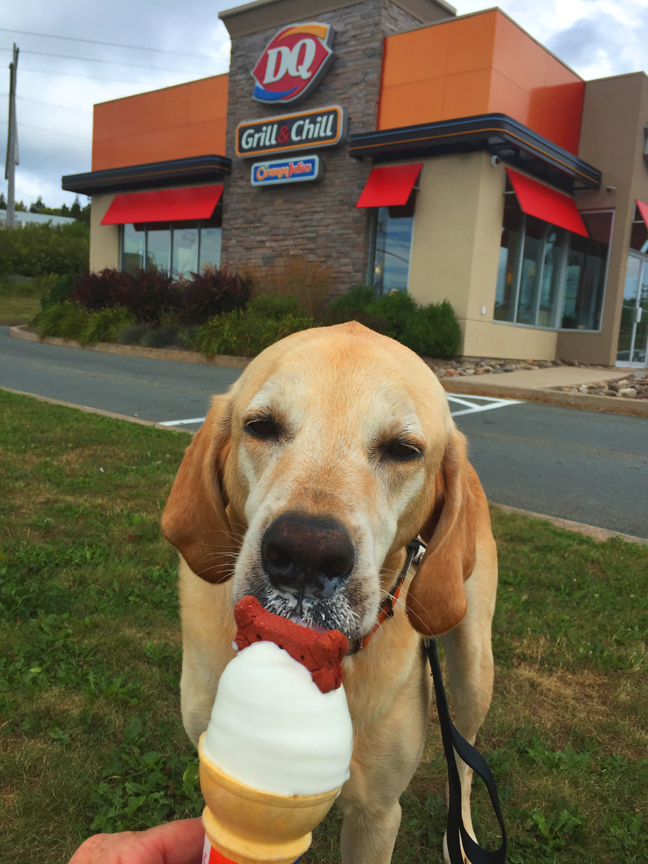 Yum, yum, ice cream!