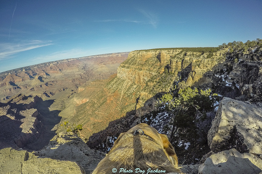 My Grand Canyon photograph!
