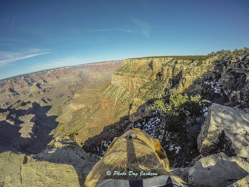 My Grand Canyon Photograph!