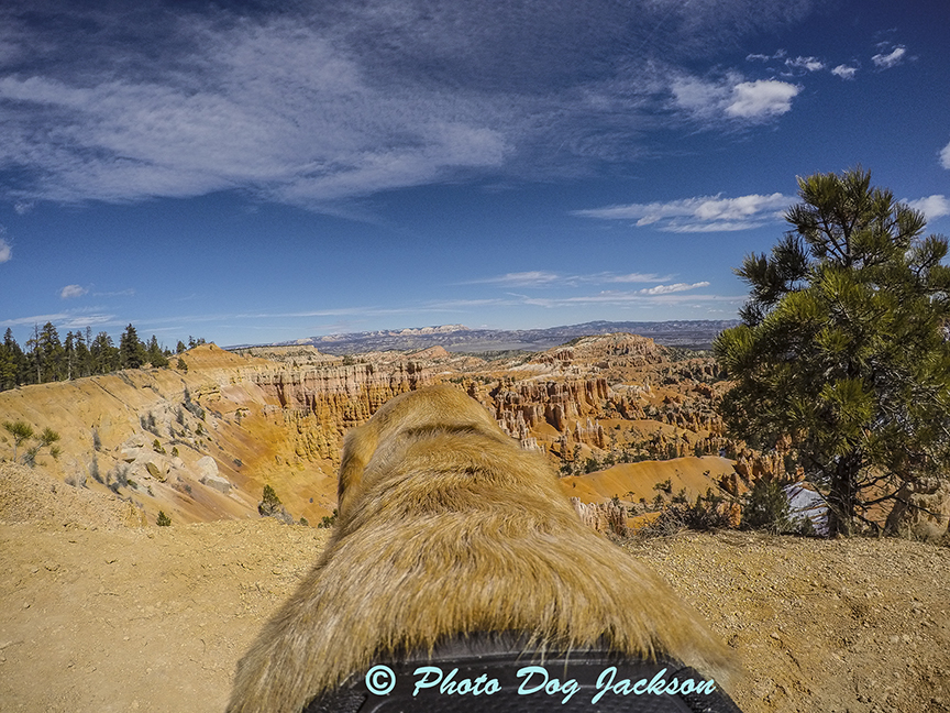 My first close view of Bryce Canyon!.