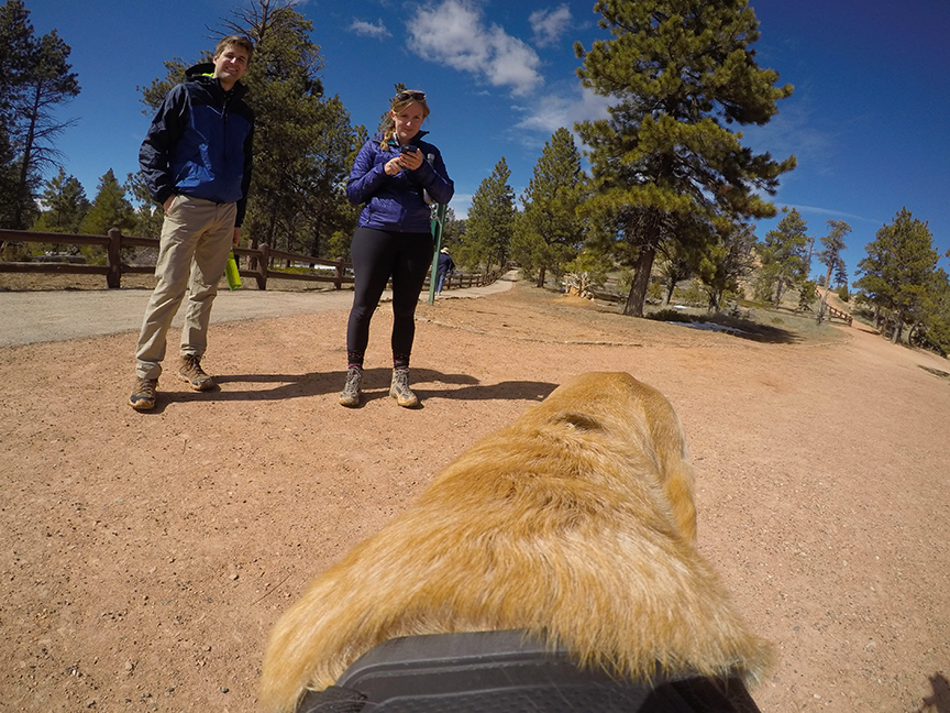 Some of the humans I met at Bryce Canyon.