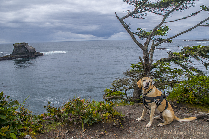 This is Cape Flattery and as far as we could go west!