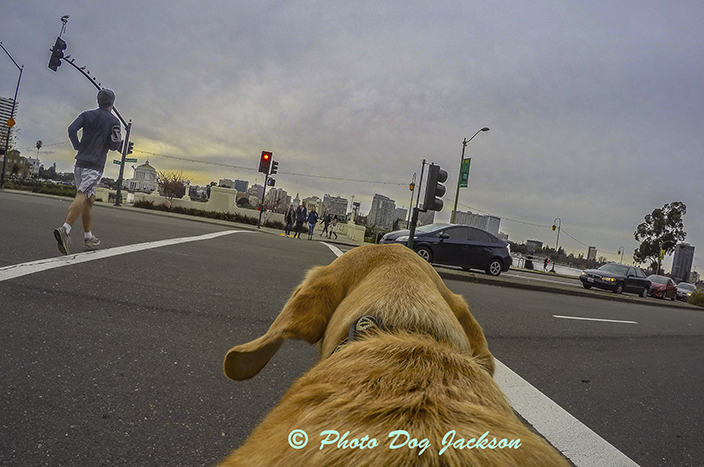 Crossing a busy street in Oakland.