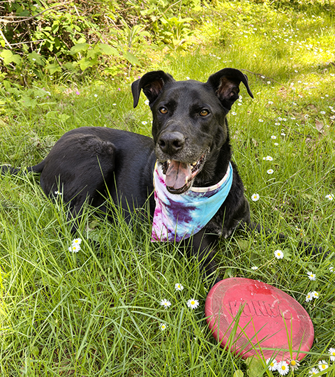 Odee at Whittaker Creek Recreation Area.